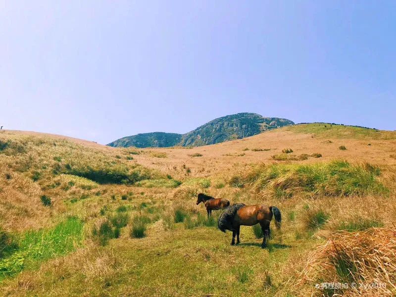 疫情结束后一定要打卡的小众景点,国内最美的小众地