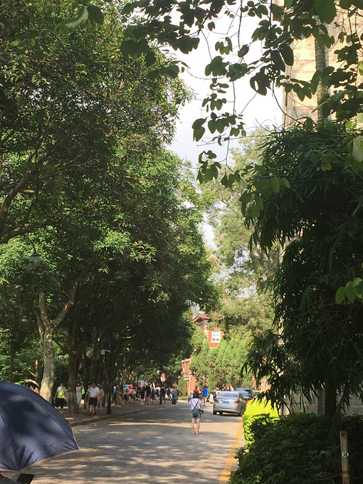 征游伴启事原文,征友结伴自驾游