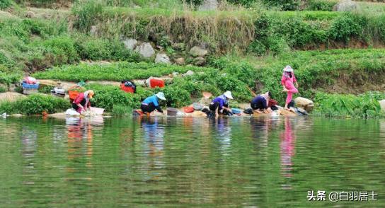 西峡西坪民歌对唱,西峡西坪民歌视频