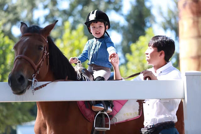 为什么骑马要先学马术,怎么骑马是贵族运动