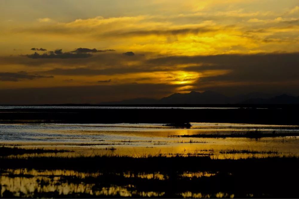 若羌罗布泊旅游攻略,罗布泊之旅最近的计划