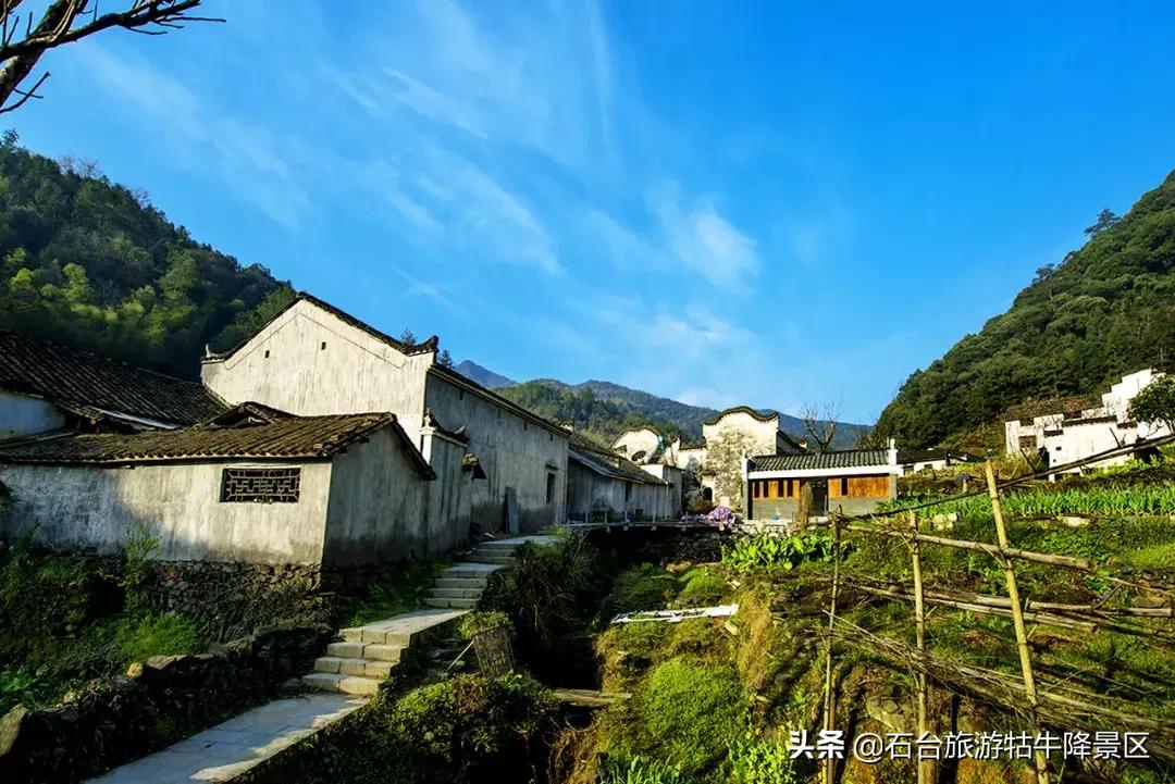 石台县牯牛降直播间,牯牛降宣传视频