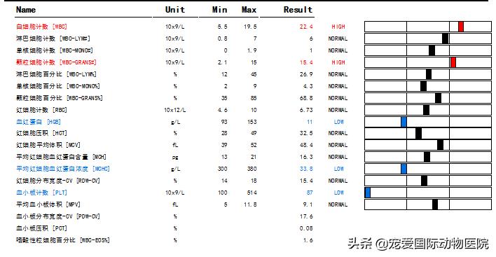 猫传腹治好了还会传染给其他猫吗,猫传腹打441见效后会一直变好吗