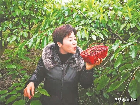 有什么好的乡村振兴方法,特色农业为乡村振兴注入新动能