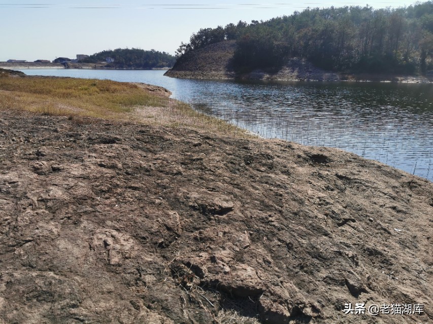 鱼不吃料有哪几种原因,鱼不吃饵最有效的方法