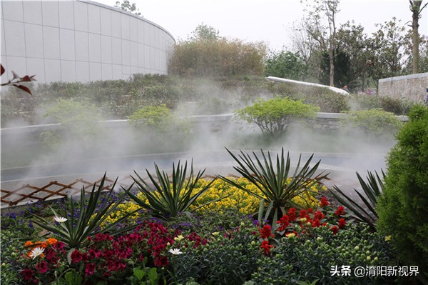 关于南阳探寻南阳的历史文化之美,南阳文化历史