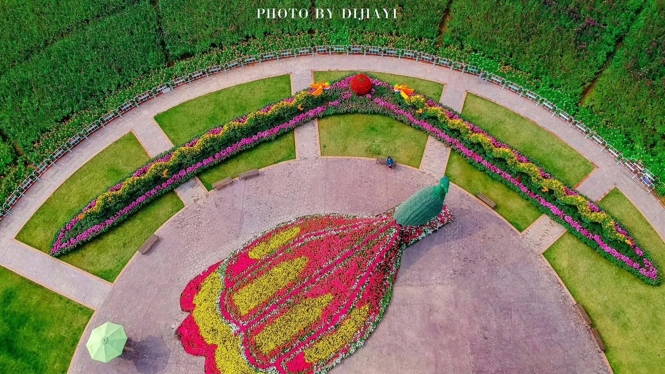 金坛花谷奇缘几月开花,金坛花谷奇缘地图