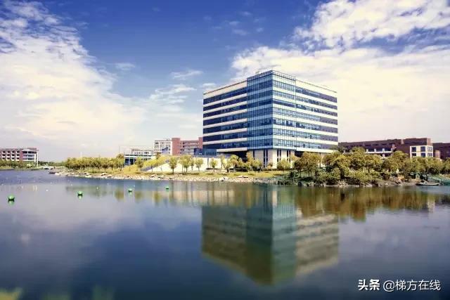 上海小学到高中的学校排名,上海最好的小学排名前十