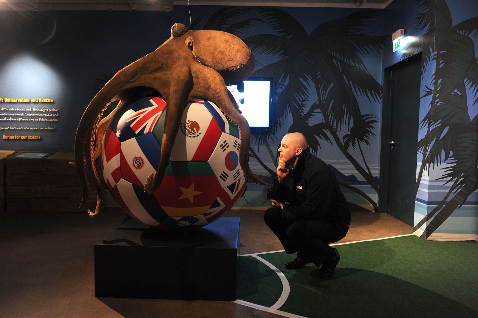 章鱼突破基因锁智商能来到多少,章鱼为什么要进化出基因锁