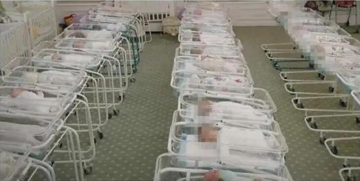 郑爽代孕又弃子？为什么要代孕？代孕的问题超乎想象