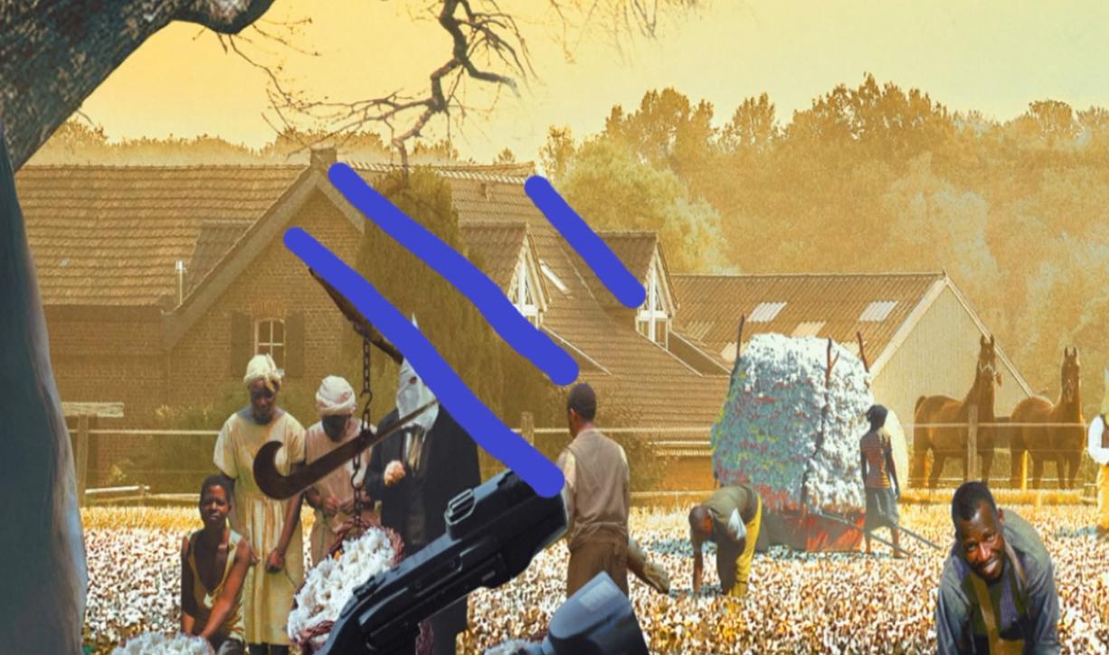 乌合麒麟血棉解析,乌合麒麟怒揭血棉真相