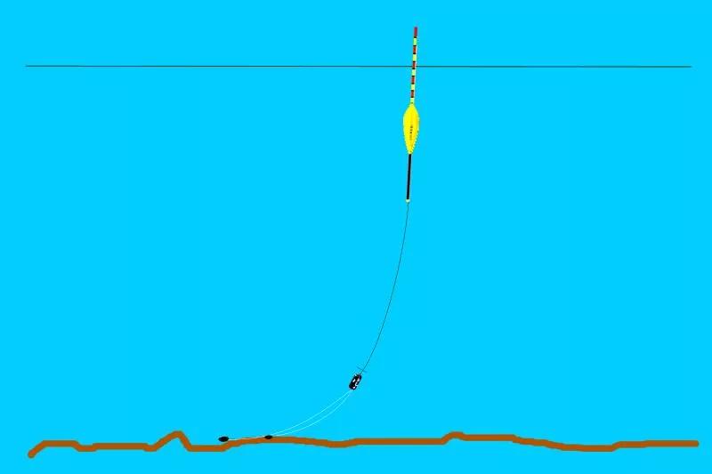 钓鱼钓双尾的原因有哪些,野钓黄尾多怎么解决