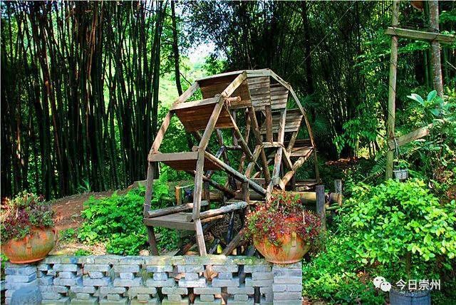 四川崇州怀远镇网红小吃粉蒸肉,崇州美食粉蒸肉