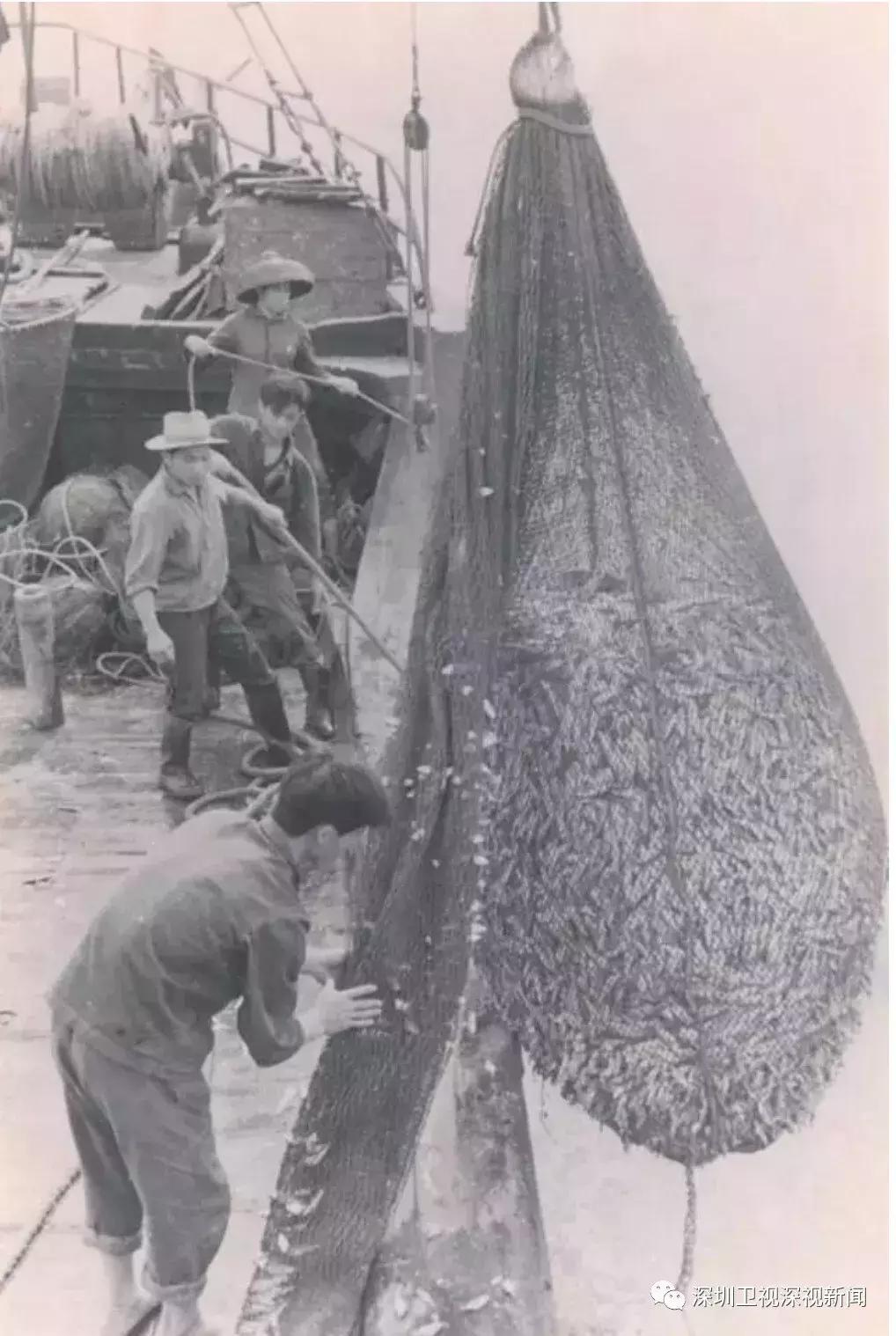 蛇口工业区的发展历程是怎样的,蛇口工业区杀出一条血路