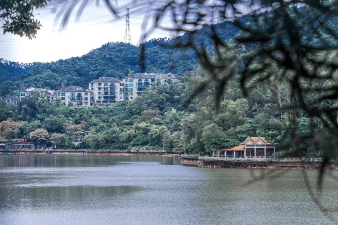 深圳免费一日游好去处推荐,深圳一日游好去处推荐老人