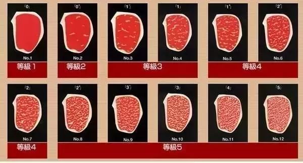 牛排几成熟的英文,怎么判断牛排几成熟