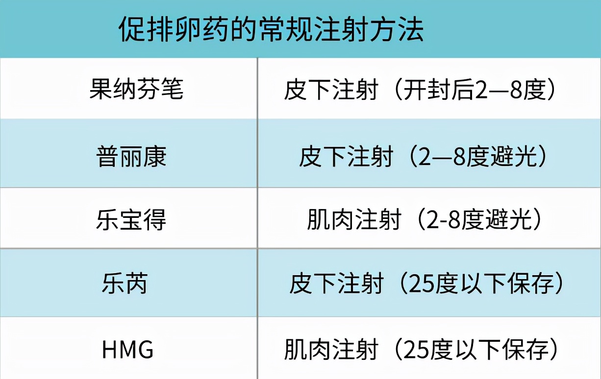 猪促排卵针啥时打,促排卵针该怎么打