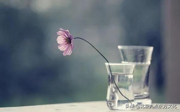 折花逢驿使寄与陇头人的意思,折花逢驿使寄与陇头人谁写的