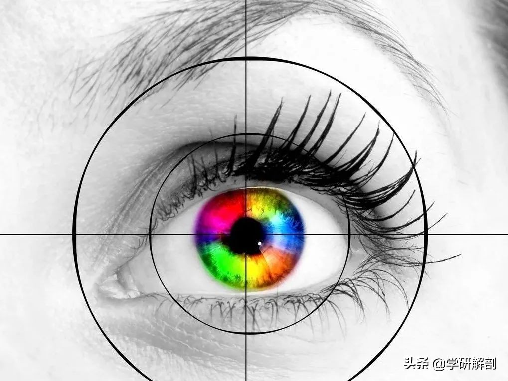 人体解剖学原理与知识,人体解剖学九大分区图