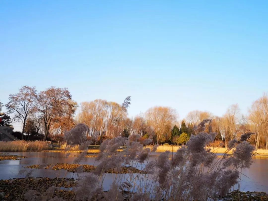 一座神人共栖的“煤都”