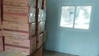 珠海边检男子冲关,冲卡逃跑民警数次鸣枪警告