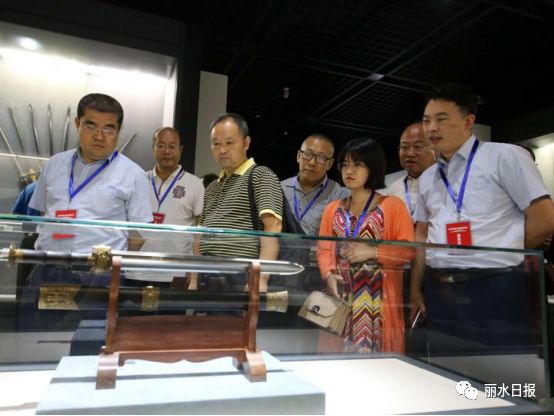 红色新丽水,红色浙西南央视