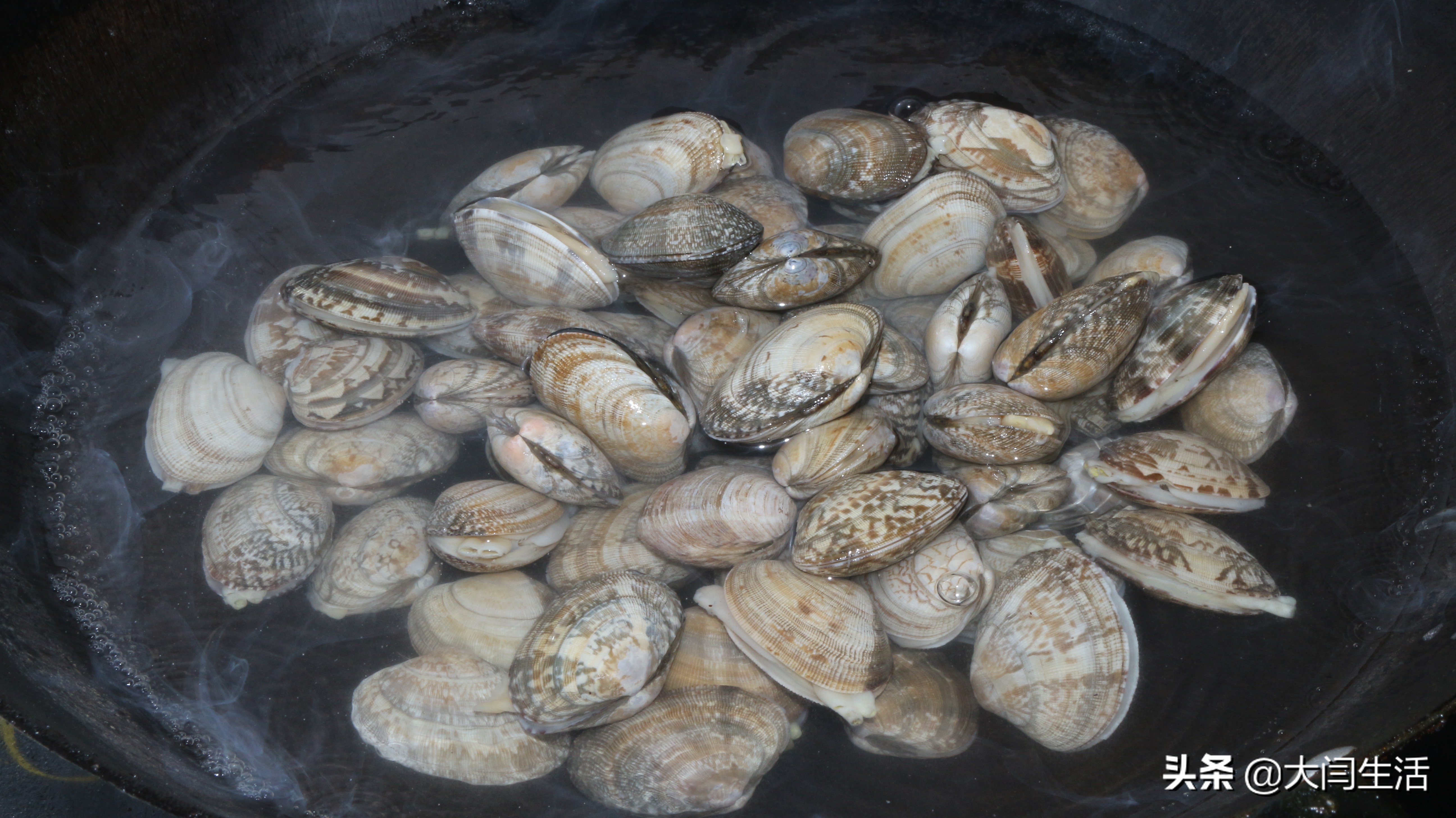 炒花蛤怎么吐沙干净,花蛤吐沙的正确做法