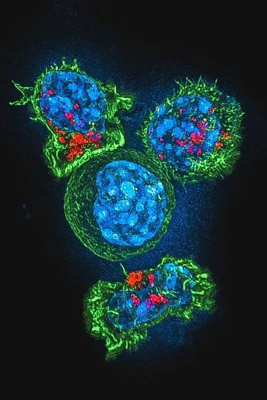 医生和病毒作战,我们如何对付病毒
