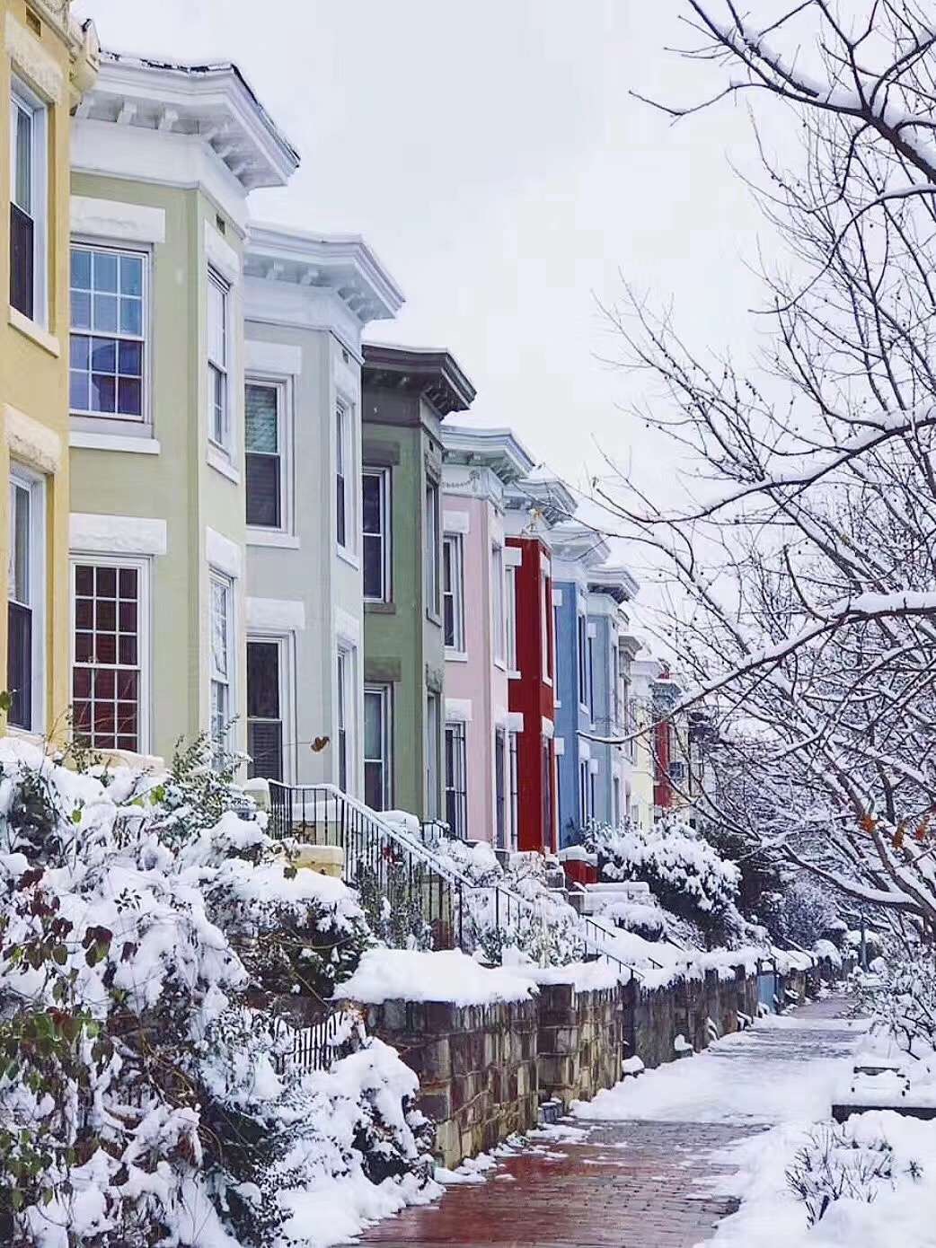 美国西雅图最好的大学,美国西雅图华盛顿大学排名