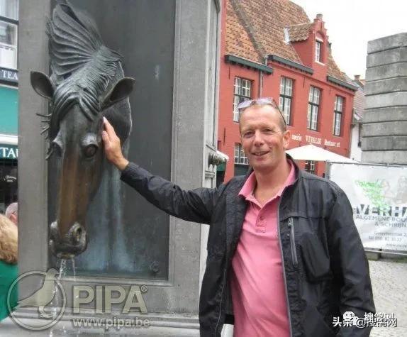 国内冠军赛鸽,羽毛球2人冠军