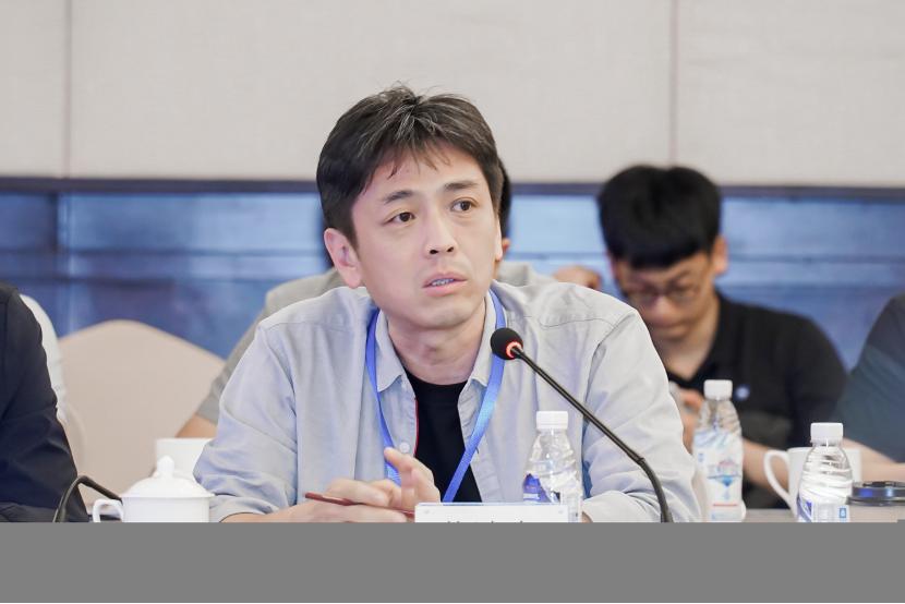 自主软件开发平台,软件开发自主可控