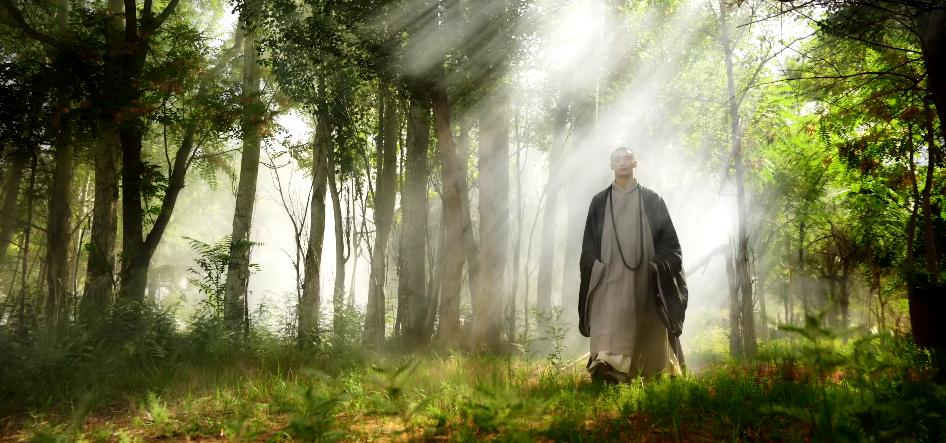 外网评论河南卫视中秋晚会,河南卫视中秋晚会文化传承与理解