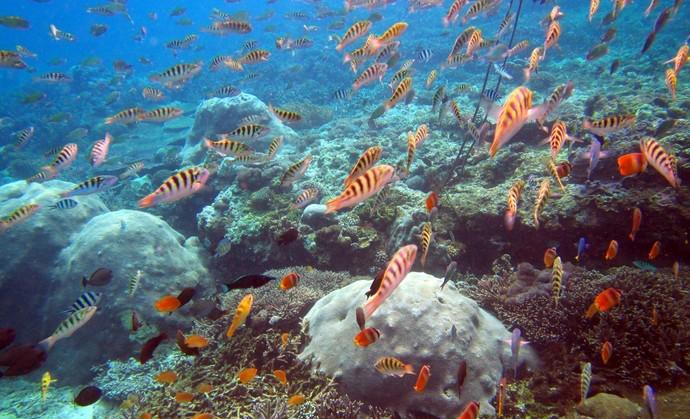 印尼巴厘岛8天之旅,普通人不跟团去周庄怎么玩