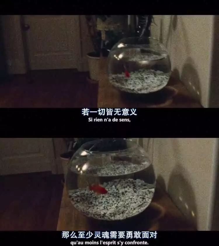 恋爱一年和恋爱七年,恋爱一年和一周对比