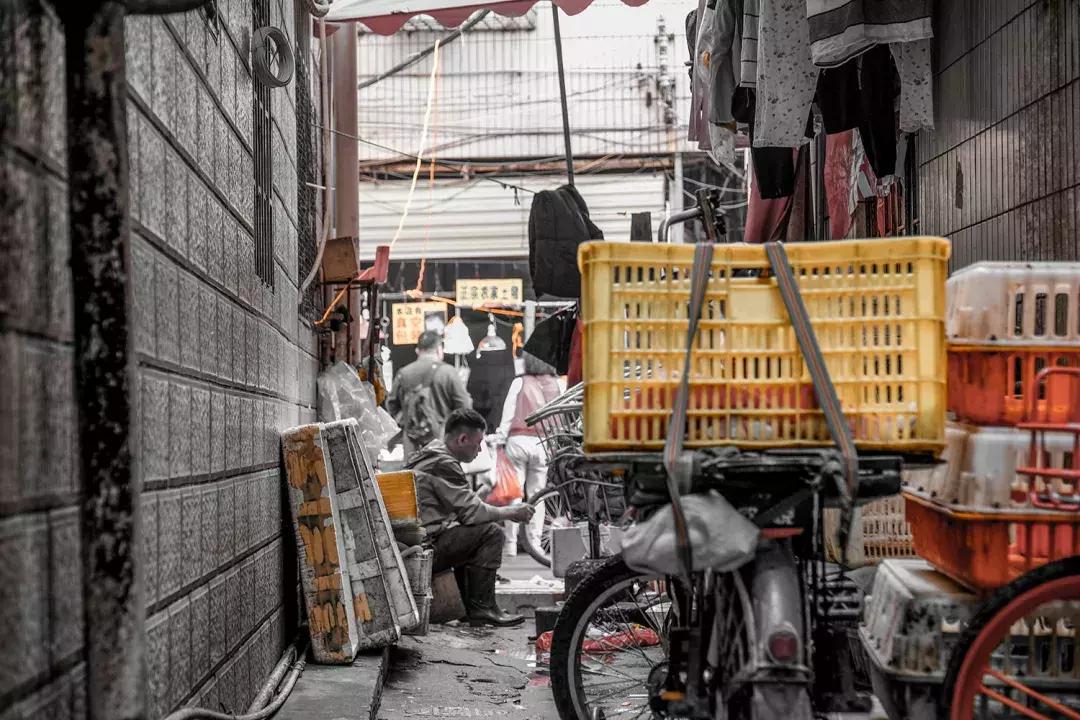 白石洲消失的原因,白石洲今日消息