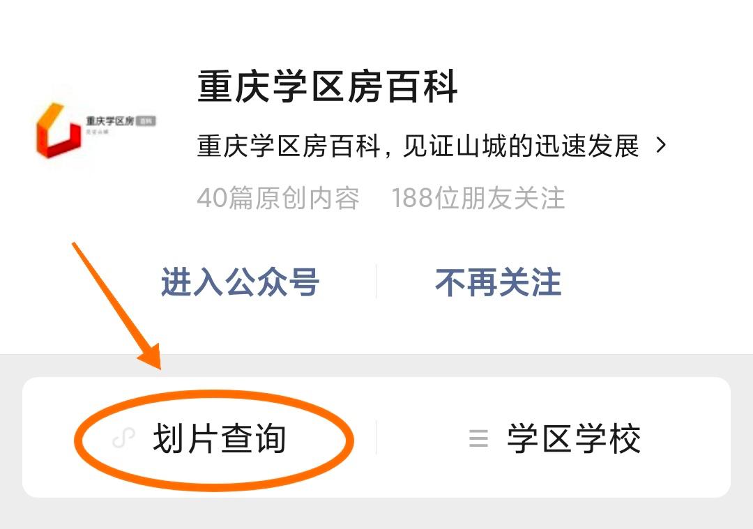 大竹林学校,重庆大竹林教育