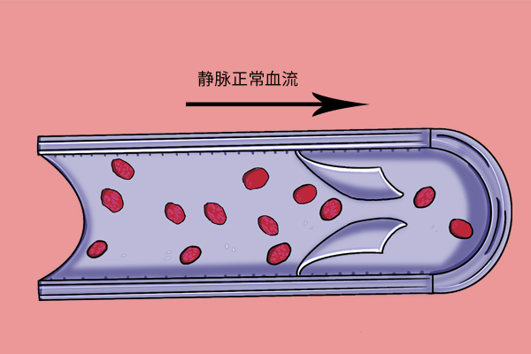 手上青筋突然很明显说明什么,手上青筋不显脚上明显是怎么回事