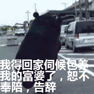 关于富婆表情包合集｜没钱花了，求富婆*养包**