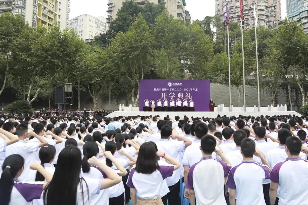 七龙珠各分校情况,七龙珠各部解读