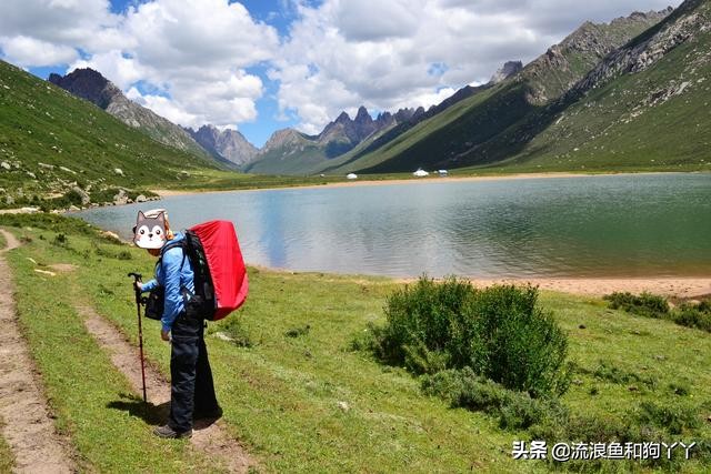 年保玉则现在开放了吗,年保玉则为啥被封