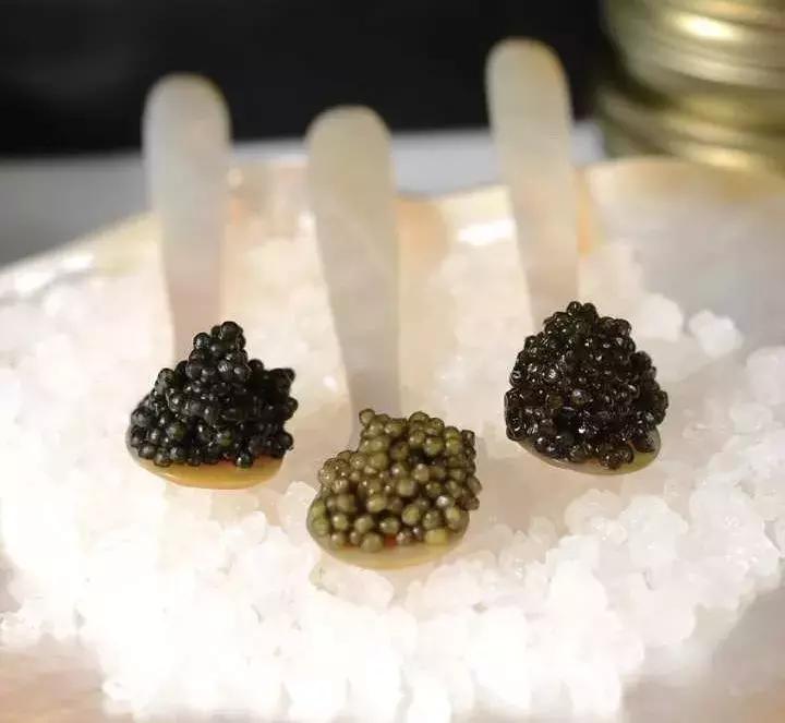 有了前法国第一夫人的百元“黑科技”眼霜,我把3000块眼霜扔了!