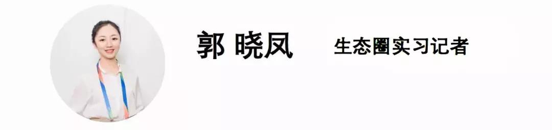你以为的跆拳道现实中的跆拳道,真的了解跆拳道吗