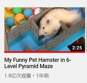 2亿*放播**量的“仓鼠走迷宫”，成了YouTube上的财富密码