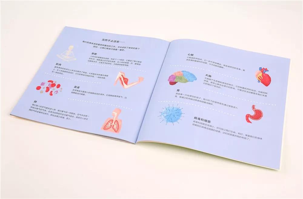 畅销300万，黄磊女儿的同款绘本火了！满足孩子好奇心的宝藏推荐