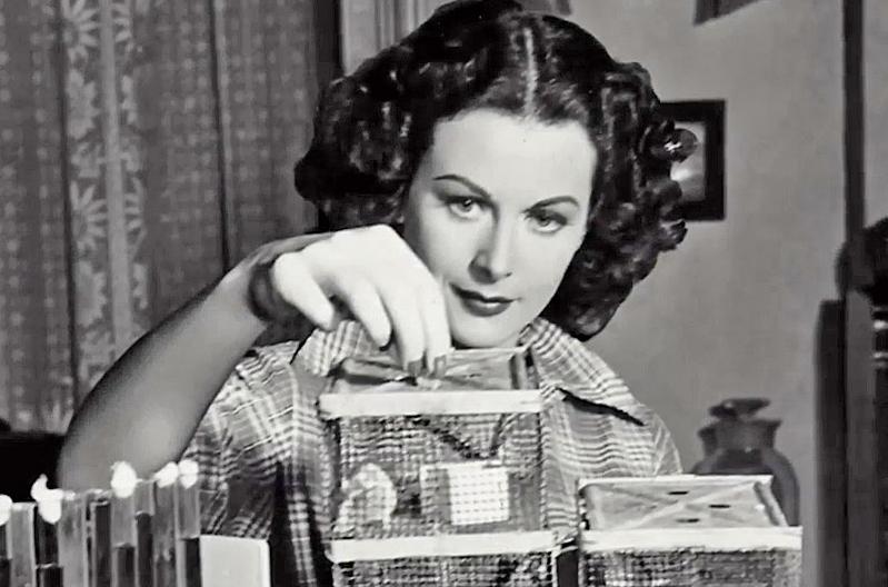 绝色佳人费雯丽,绝代佳人费雯丽英文版