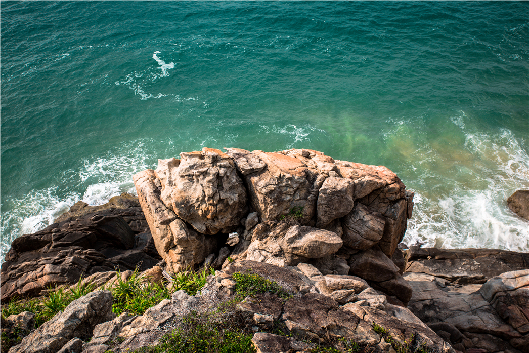 海南必玩猴岛与呆呆丨看萌呆猕猴，呆呆岛发呆