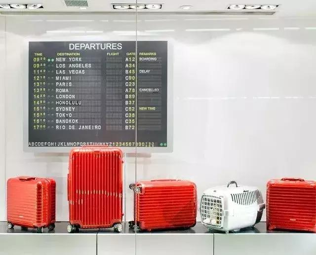 刘雯的奢侈品包包,bella刘雯同款