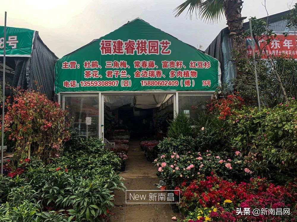南昌花市有哪些地方,南昌花市批发市场