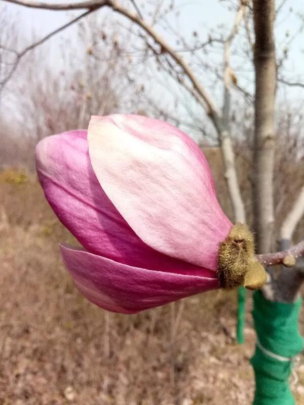 2022年世界手机摄影大赛征稿,手拍世界摄影网