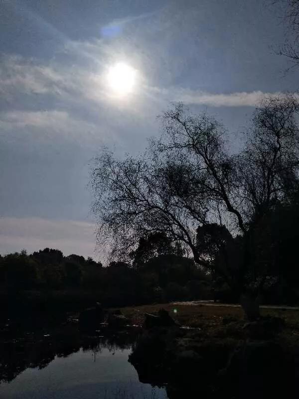 手拍世界摄影网,手拍世界完整版视频